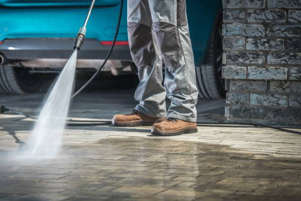 Best Pre-Holiday Cleaning  in Lexington, TN