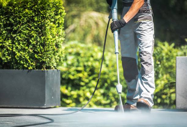 Best Roof Washing  in Lexington, TN