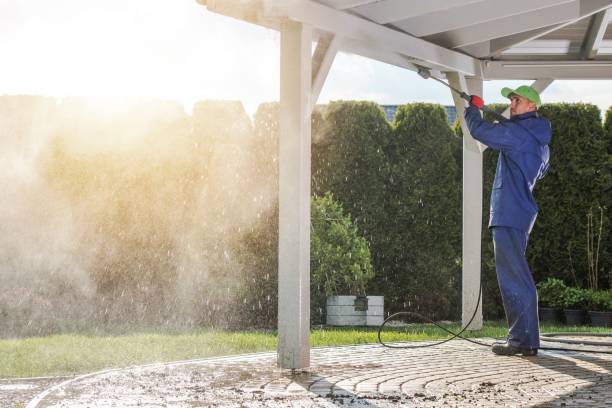 Professional  Pressure Washing Services in Lexington, TN