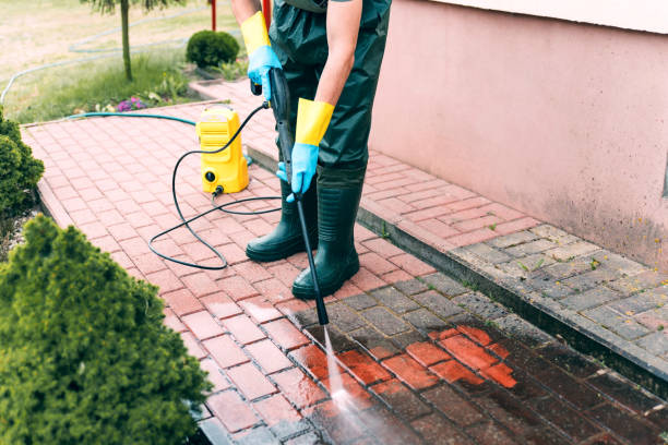 Best Dumpster Area Cleaning  in Lexington, TN