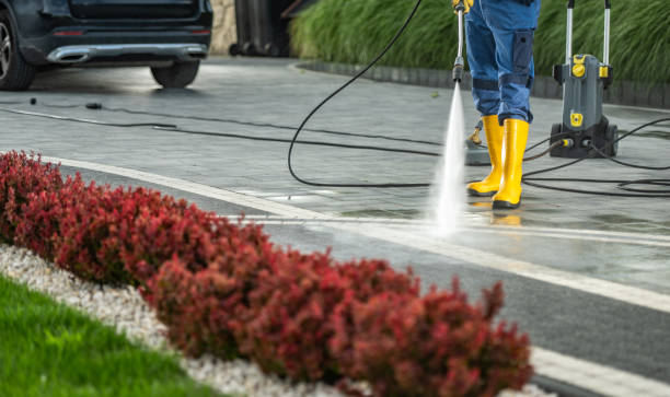 Best Sidewalk and Walkway Cleaning  in Lexington, TN