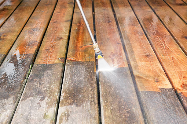 Best Fence Cleaning  in Lexington, TN
